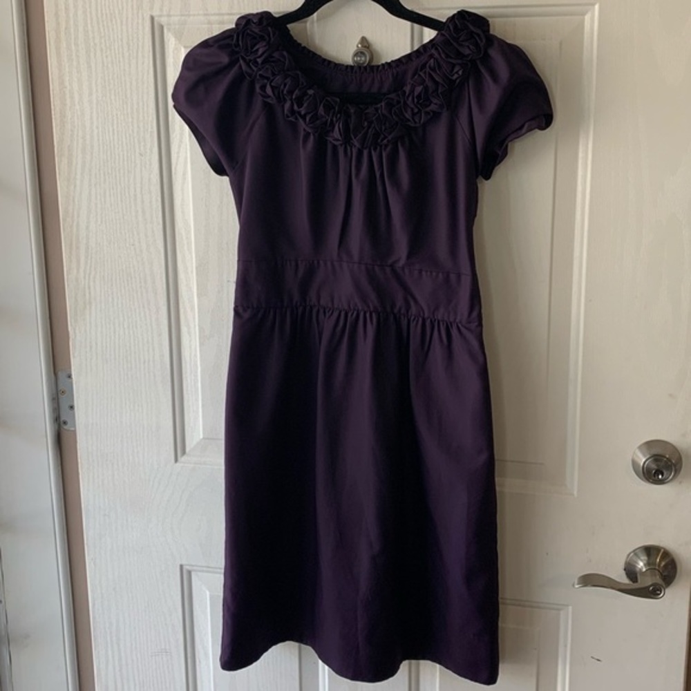 The Limited Women’s Dress